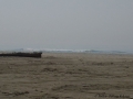 Strand1